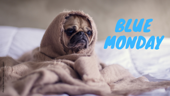 blue-monday-concours-kit